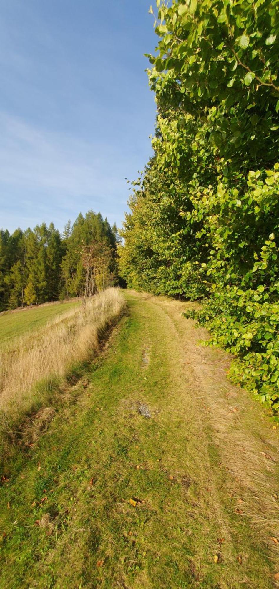 Die Alte Baeckerei Jöhstadt Exteriör bild