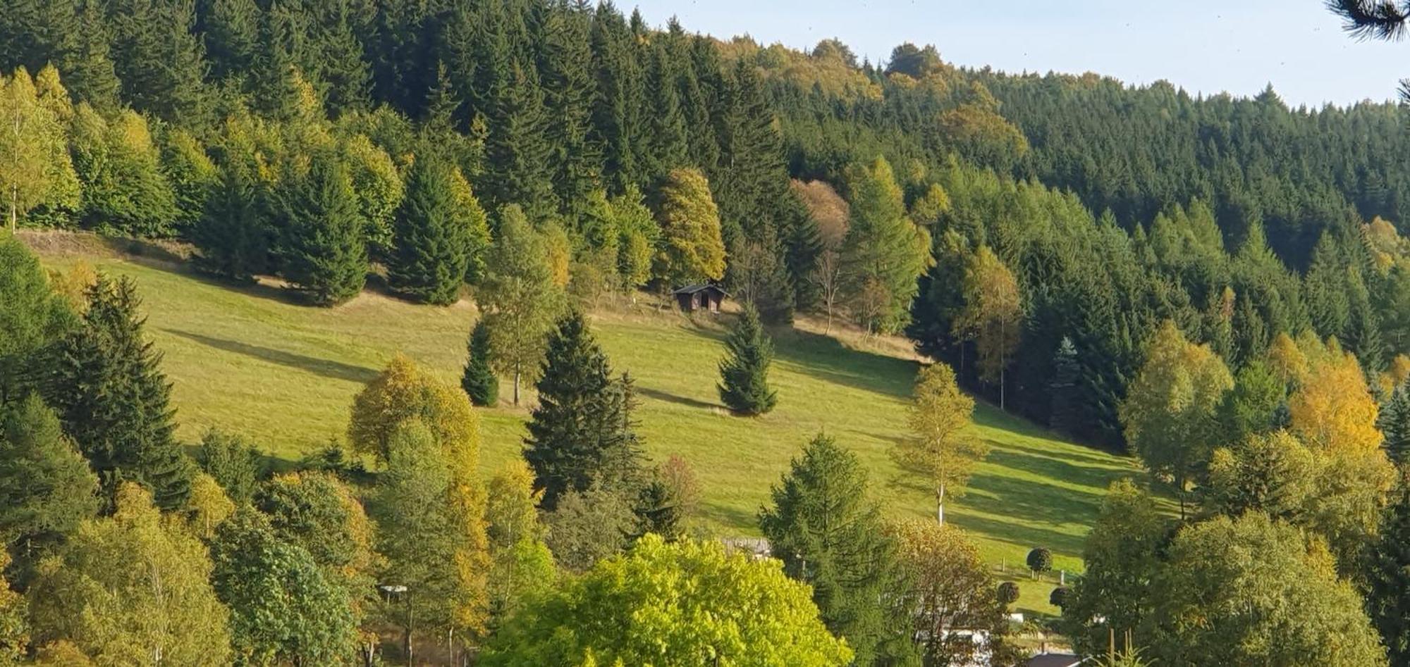 Die Alte Baeckerei Jöhstadt Exteriör bild